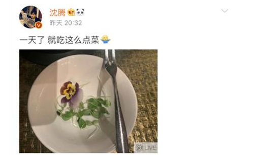 沈腾耍大牌头像引爆笑