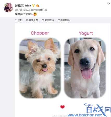 曝林峯求婚张馨月成功 两人年龄相差10岁