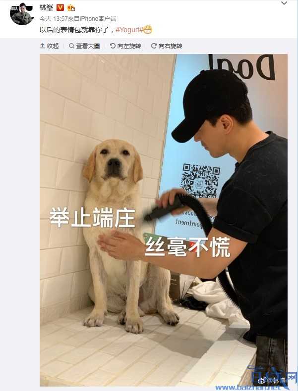 曝林峯求婚张馨月成功 两人年龄相差10岁