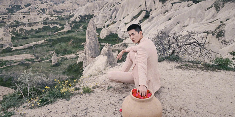 杨洋乔欣