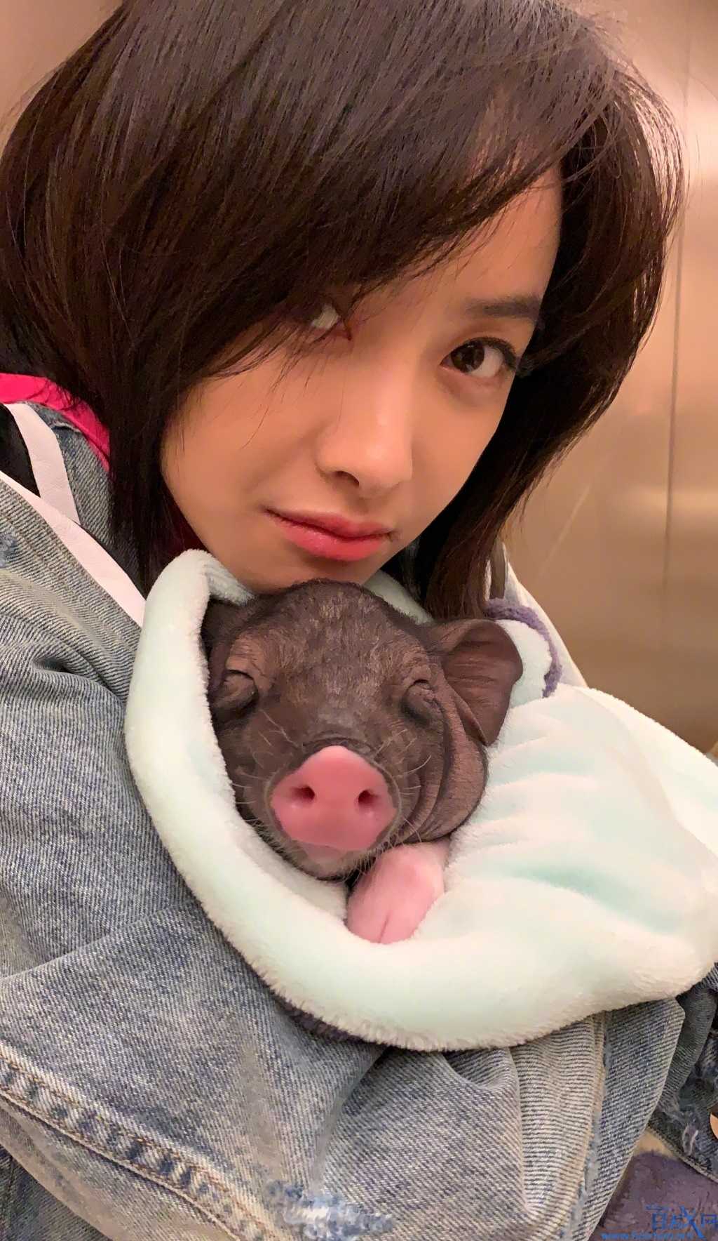 宋茜遭起底，杨洋乔欣恋情作为绯闻女友同被拉下水