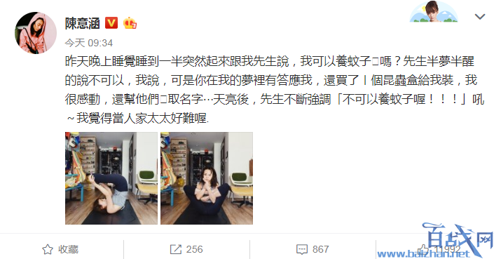 陈意涵想养蚊子被拒，先生半梦半醒的说不可以