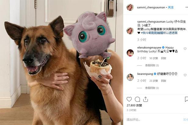 郑秀文晒照为许志安爱犬庆生，脸部用动物头像气氛温馨