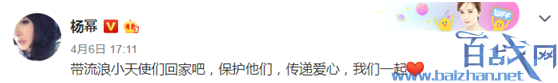 杨幂就算不是演员大咖，提倡宠物领养用爱心行动这点就足够粉了